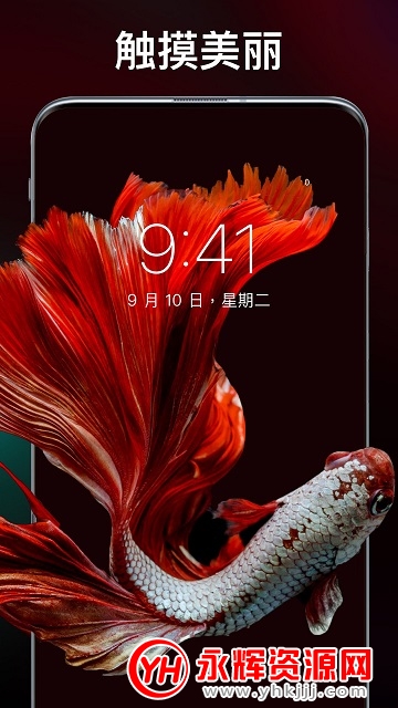 ����������ֽapp���°�