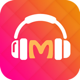 fmƽv1.0׿
