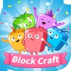 Block Craft 3D游戏最新版