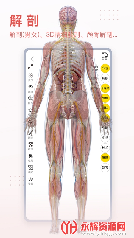 3Dbody����ѧapp��Ѱ�