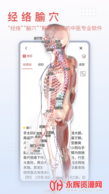 3Dbody����ѧapp��Ѱ�