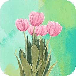 ����������ֽv1.1 ��׿��