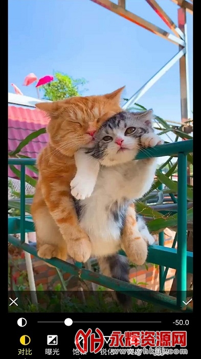 �������app