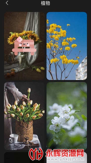 ������ֽ��