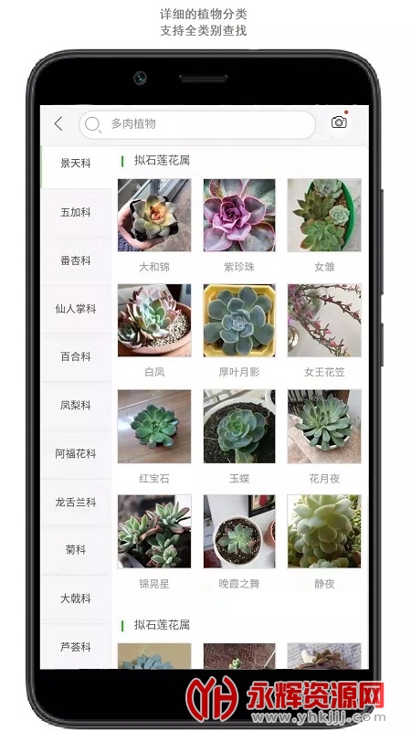 ��ɫʶ��app�ֻ���