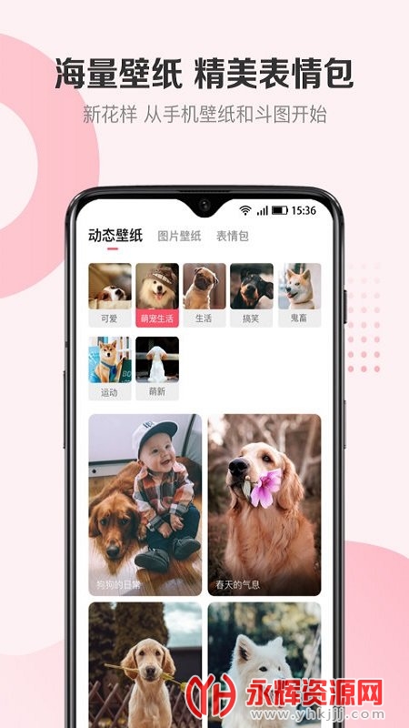 68宠物app办理狗证 68宠物app办理狗证