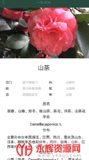 һҶʶľ(ֲ��ʶ��)