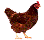 �������������ͼv1.0 ��׿�����