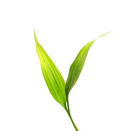 ΢��ʿѧ����v5.1.4