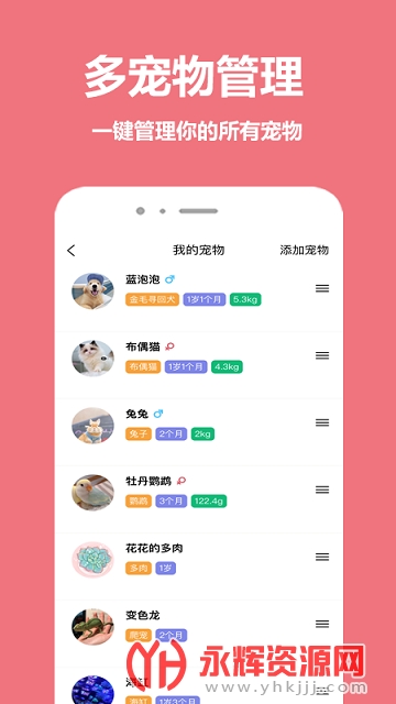 ��������app