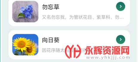 ʶ��ʶ������