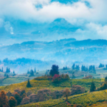 �����հ�app�ٷ���v2.0.4 ��׿��