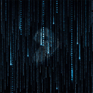 �ڿͶ�̬��ֽ�ֻ���v1.0 ��׿��