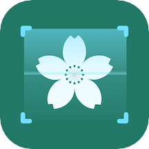 ʶ��ʶ������v1.1 ��׿��