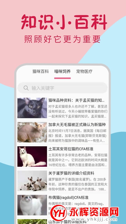 小猫翻译器免费翻译器 小猫翻译器免费翻译器