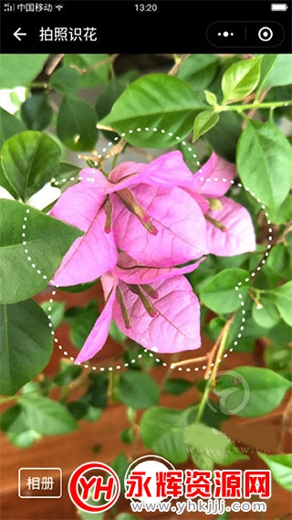΢ʶʶ