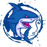 ���е羺appv1.3.0��׿��