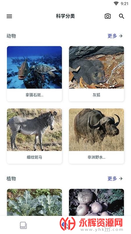 动植物大全 动植物大全