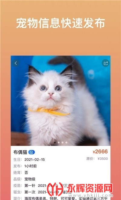 �����г��̻���