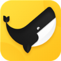 Ӱapp°v1.1.37׿°