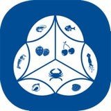 ������̳�appv2.13.0��׿��