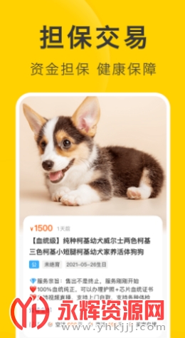 ��ֻ����app���°�