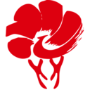 ���°�appv1.0.4 ��׿��