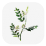 ҩֲٿappv2.0.1׿