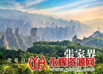 �ҵ��żҽ�APP