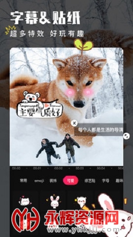 ������vipֱװ��