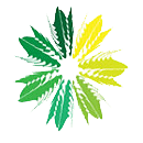 Ķֻv1.0.3 ׿