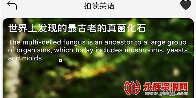 �Ķ�Ӣ��app���°汾