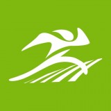 ��³������appv1.1.3���°�