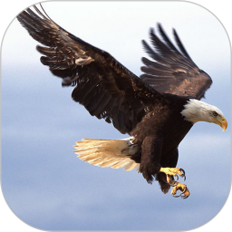 ˼�鶨λ����v2.2.0 ��׿��