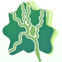 �ɶ��½�app�ٷ���v1.0.0 ��׿��