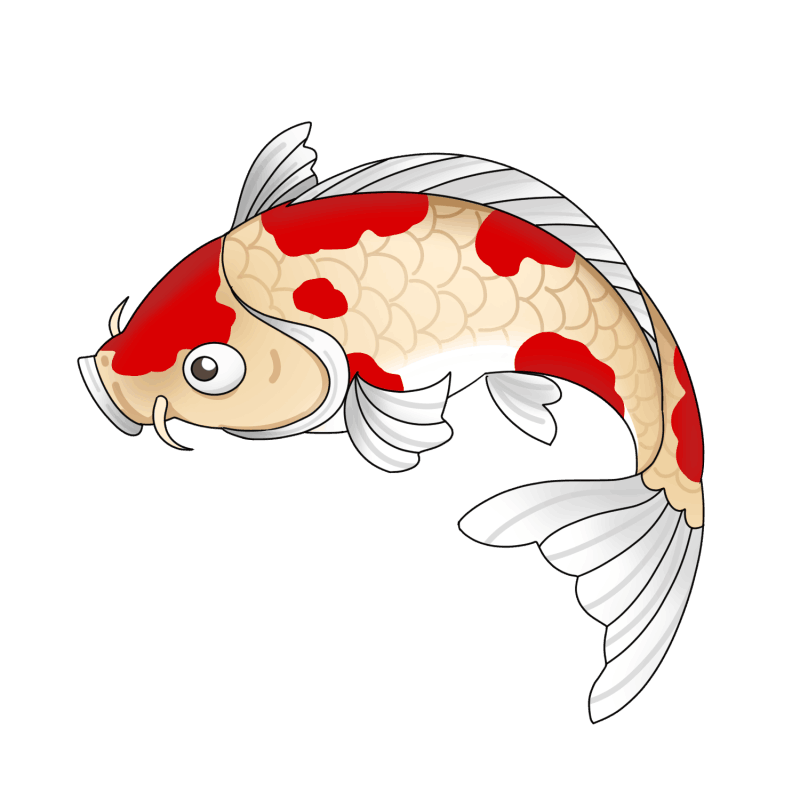 ����Ӱ�ӹٷ������°�(������Ƶ)v3.1 ��׿��