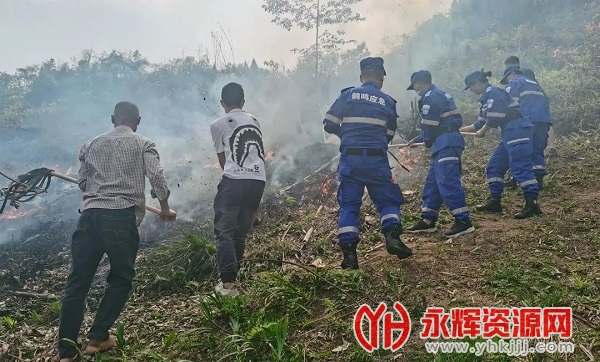 �Ĵ�ɭ��app��װ�����ٷ�