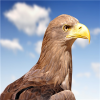 ��ӥtv����ֱ��app���°汾v1.0.9 ��׿��