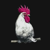 ������������Դv1.4.0 ��׿��