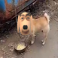 �Ź������°�v1.0 ��׿��