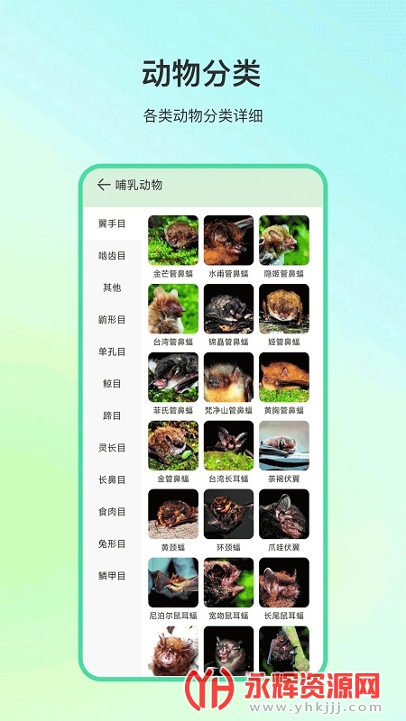 ٿapp, ٿapp