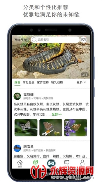 ����ʶ������app��׿�ֻ���