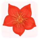 ���ҳ���APPѧУ�ɷ�ƽ̨v2.2.4 ���°�