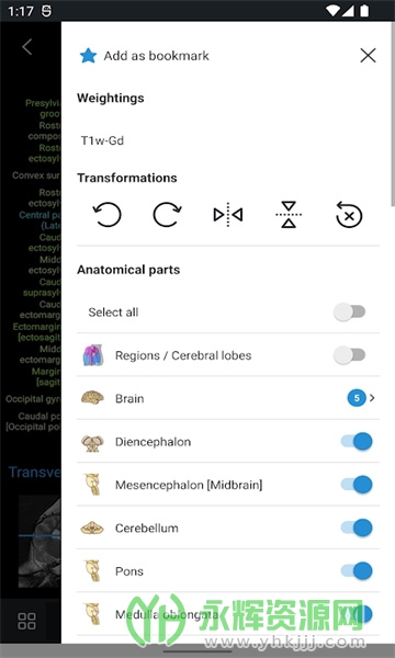vet Anatomyİ, vet Anatomyİ