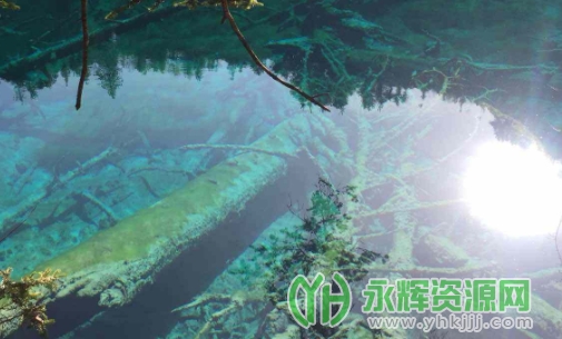 ���ܿ�ͼ�������, ���ܿ�ͼ�������