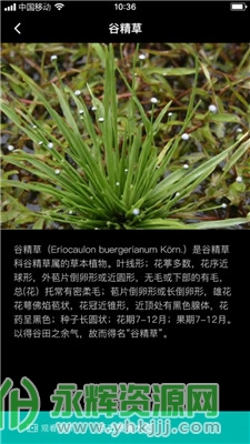 �Ⱦ���֦app�ٷ���