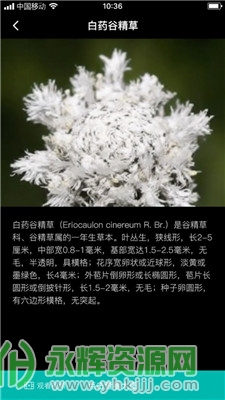 �Ⱦ���֦app�ٷ���