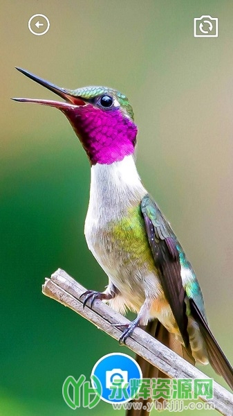 ���﹤����app�ٷ���, ���﹤����app�ٷ���