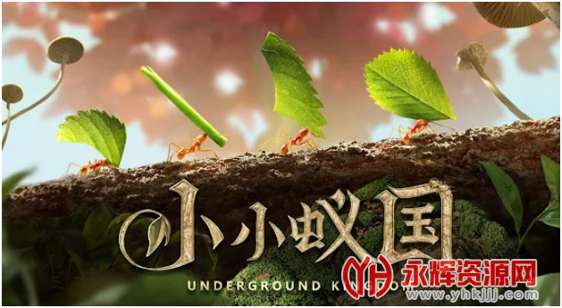 СС�Ϲ��ٷ�����2023�ٷ����°�, СС�Ϲ��ٷ�����2023�ٷ����°�