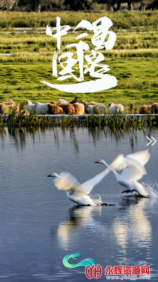 ��Ȫ�õط�app���°�, ��Ȫ�õط�app���°�